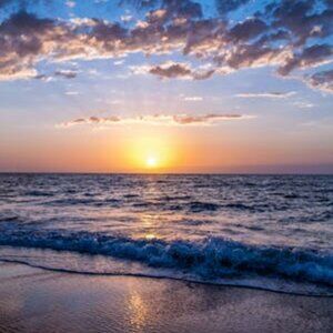 Meet your Posher, Lulufinds4less